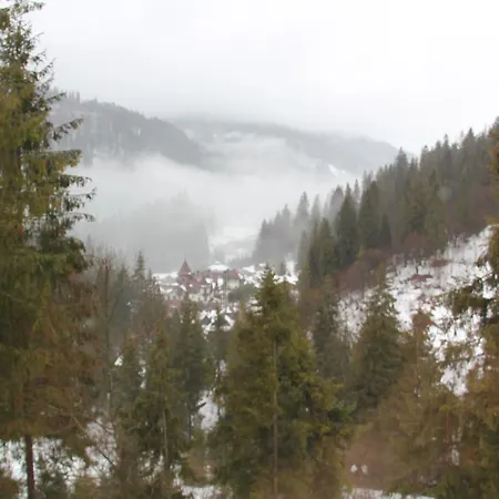 Villa Na Gori Slavske