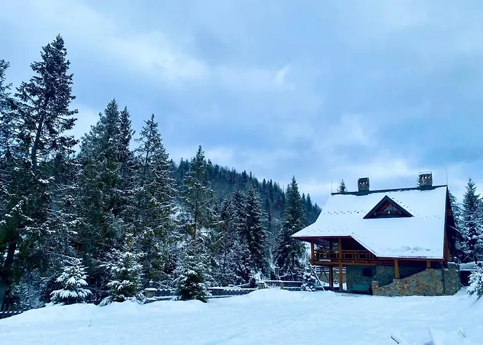 Na Gori Villa *