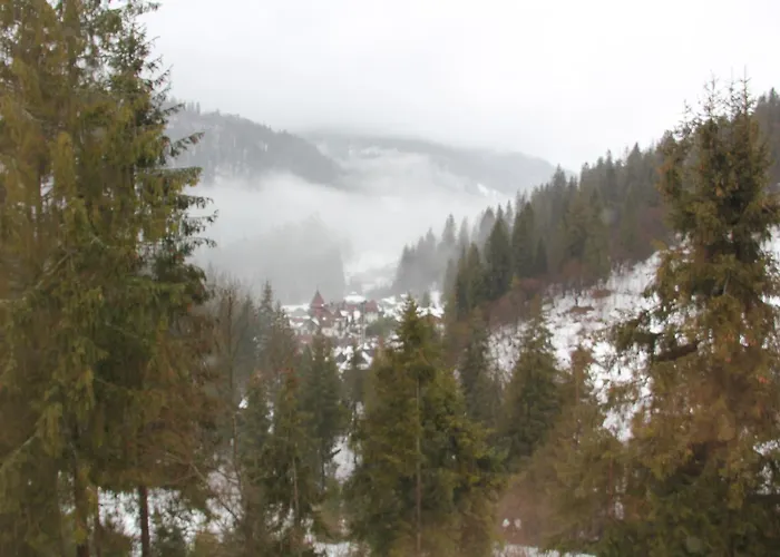 Villa Na Gori Slavske